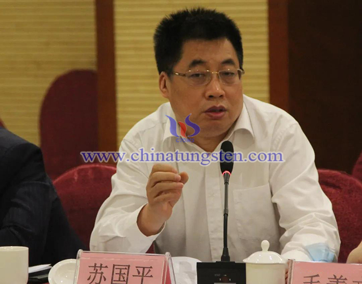 中國鎢業(yè)協(xié)會主席團主席、安泰天龍鎢鉬科技有限公司董事蘇國平