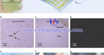 MoS2電子器件讓隱形眼鏡內(nèi)嵌顯示屏成爲可能圖片