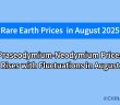 What will the rare earth market look like in august 2025