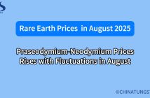 What will the rare earth market look like in august 2025