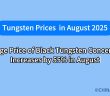 What will the tungsten concentrate market look like in august 2025