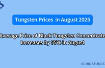 What will the tungsten concentrate market look like in august 2025