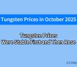 What will the tungsten price be in october 2025