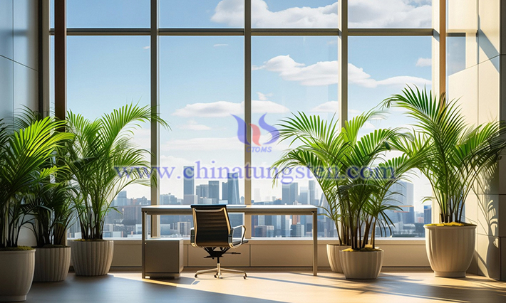 ??? ??? ?? ??? ??? ??? ???