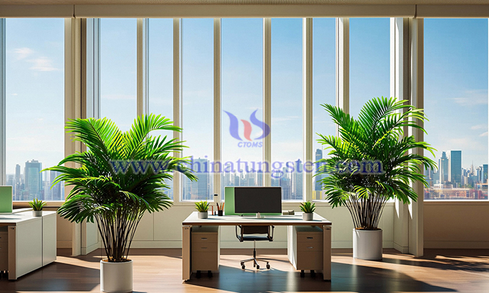 ?? ?? ??? ?? ??? ??? ??? ???