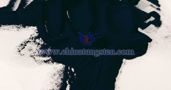 ?? ??? ?? ??? ?????? ???