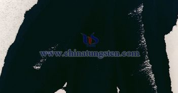 ?? ?? ??? ?????? ???