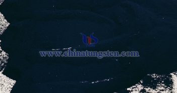 ?? ?? ?? ??? ?????? ???