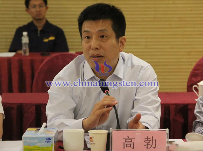 中國鎢業(yè)協(xié)會(huì)主席團(tuán)主席、中鎢高新材料股份有限公司副總經(jīng)理高勃