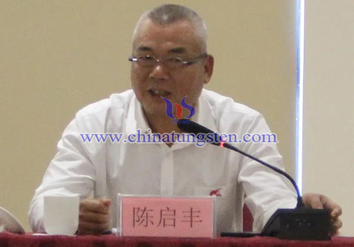 中國鎢業(yè)協(xié)會(huì)主席團(tuán)執(zhí)行主席、廣東翔鷺鎢業(yè)股份有限公司董事長陳啟豐