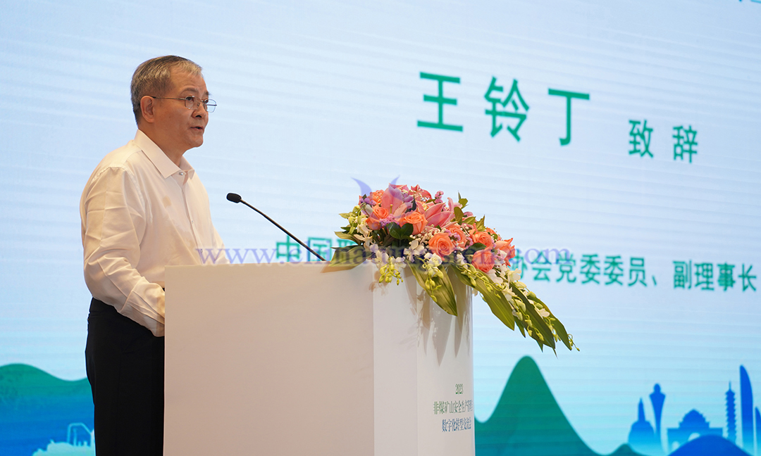 中國職業(yè)安全健康協(xié)會黨委委員、副理事長 王鈴丁