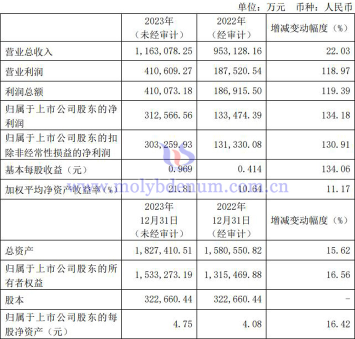 金鉬股份2023年業(yè)績報(bào)告圖片