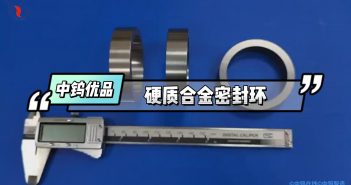 中鎢優(yōu)品 – 硬質合金密封環(huán)