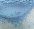 氧化釹圖片